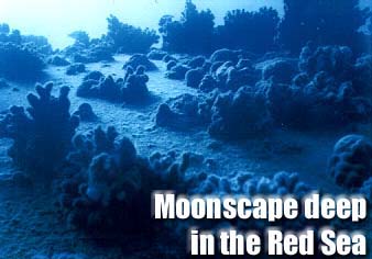 Red Sea moonscape